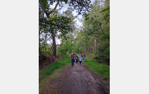 randonnée de mardi en forêt de Chambiers