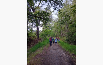 randonnée de mardi en forêt de Chambiers