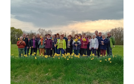 randonnée des jonquilles à Bocé